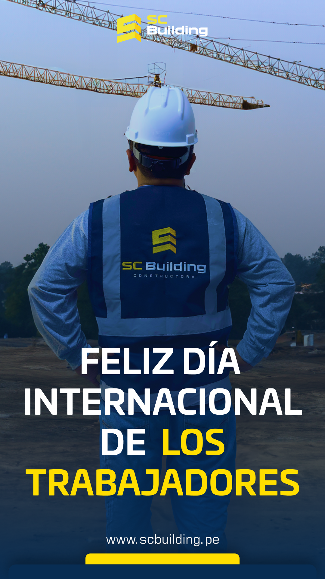 Imagen 6